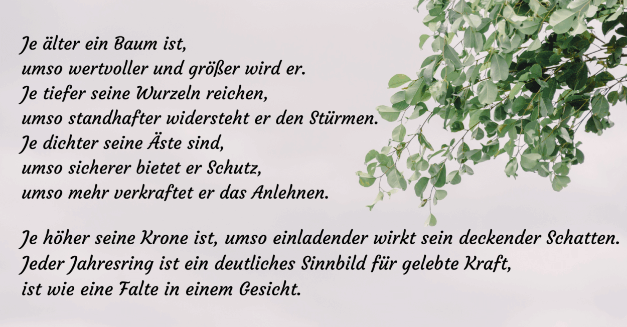 Baum